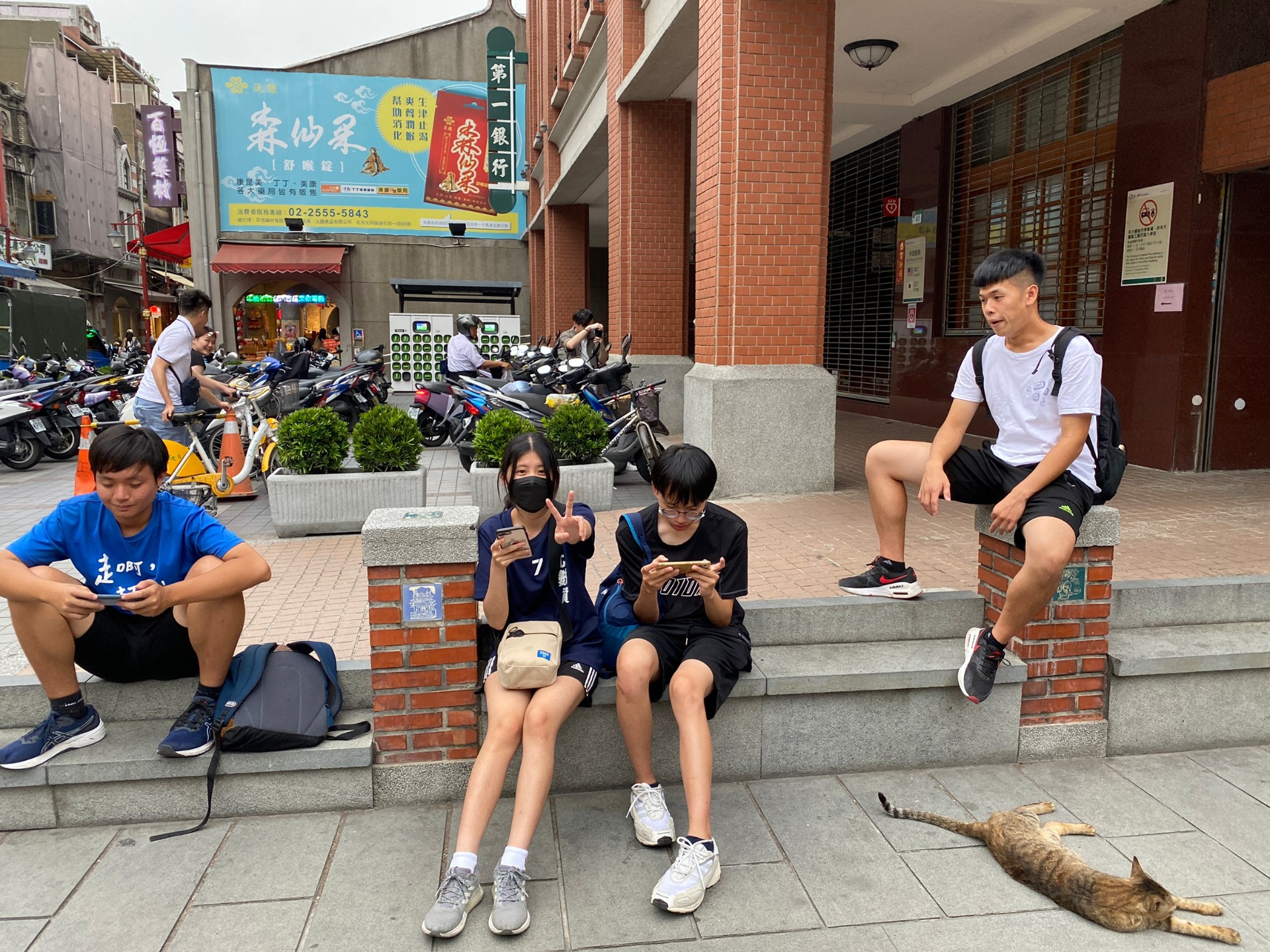 拍攝花絮:跟廟旁的貓貓合影